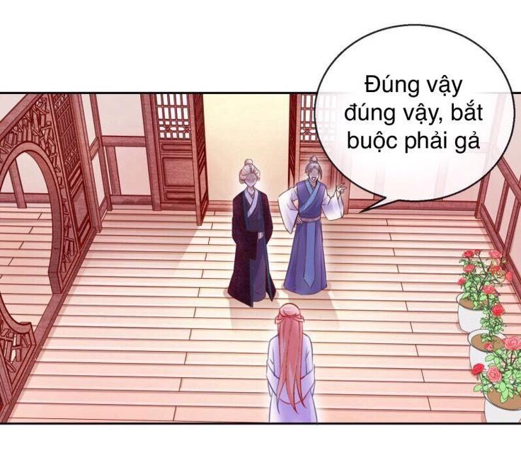 Thịnh Thế Vô Cấu Chapter 11 - Trang 2