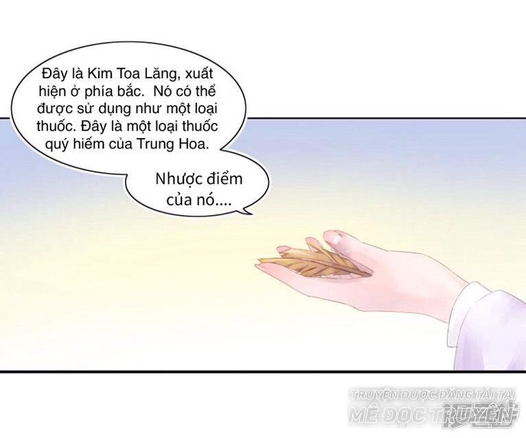 Thịnh Thế Vô Cấu Chapter 6 - Trang 2