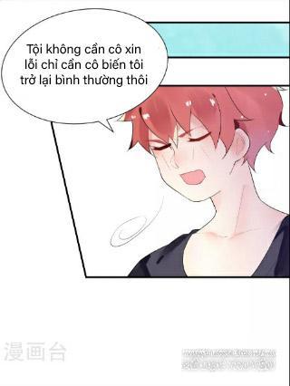 Người Yêu Ngọt Ngào Của Tôi Chapter 5 - Trang 2