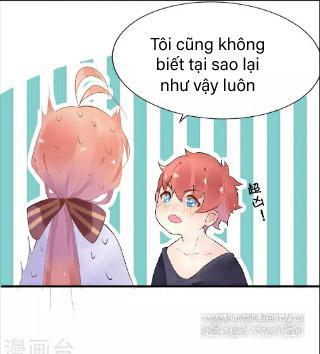 Người Yêu Ngọt Ngào Của Tôi Chapter 4 - Trang 2