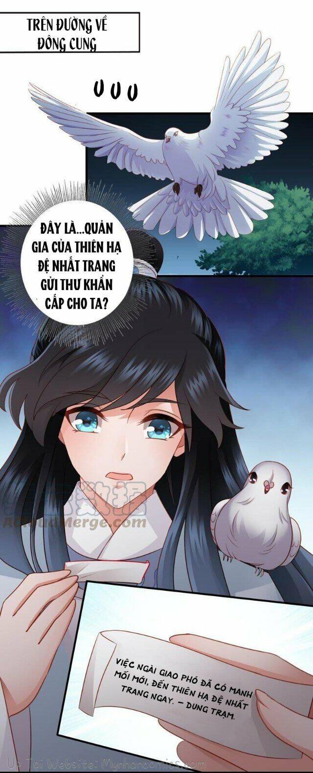 Thái Tử Điện Hạ Có Tin Vui Chapter 43 - Trang 2