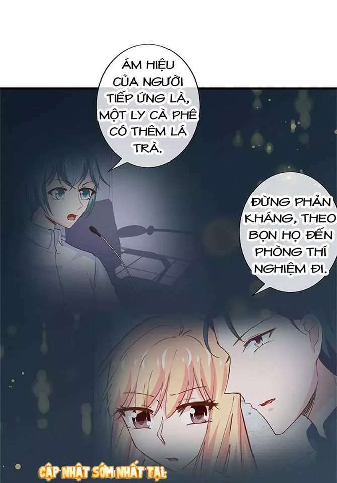 Không Gả Cho Tổng Tài, Gả Cho Người Hầu Chapter 182 - Trang 2