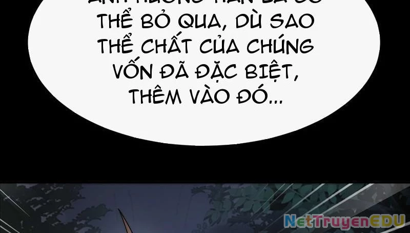 Ta Thực Sự Không Có Hứng Tu Tiên Chapter 48 - Trang 2