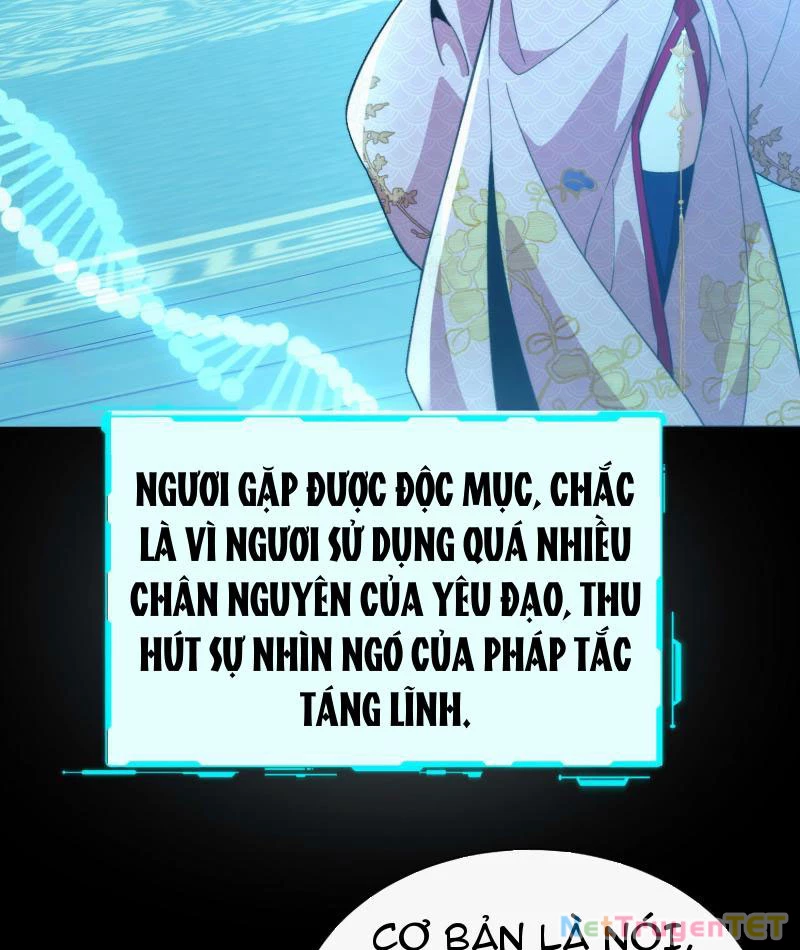 Ta Thực Sự Không Có Hứng Tu Tiên Chapter 41 - Trang 2