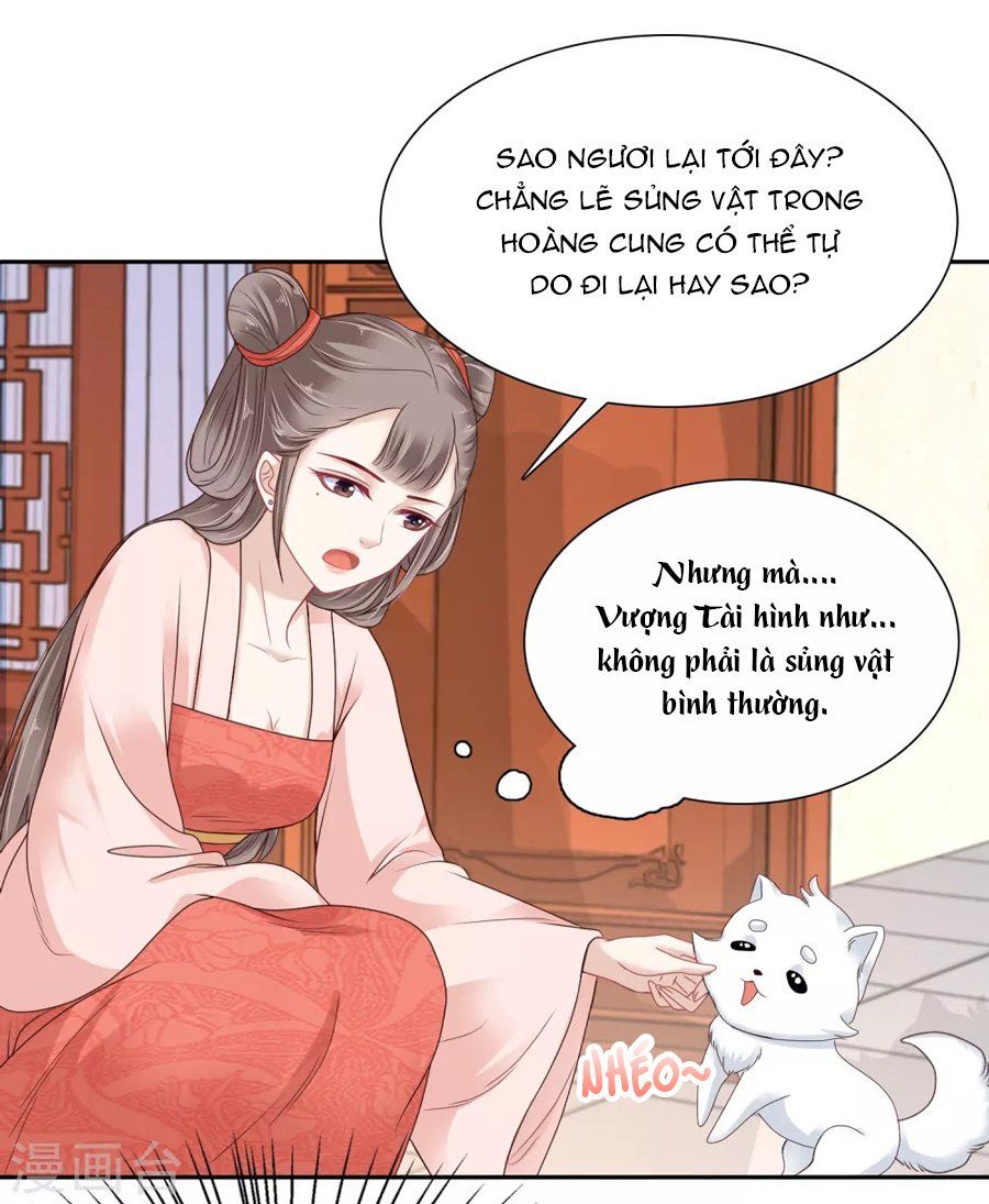 Phú Bà Bạc Tỷ Trong Lãnh Cung Chapter 11 - Trang 2