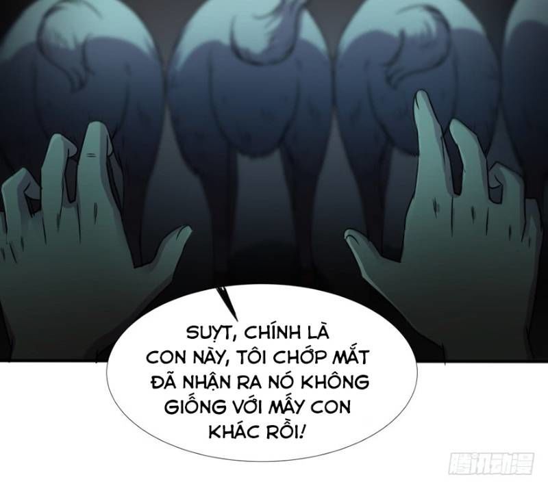 Thập Nhị Thiên Kiếp Chapter 27 - Trang 2