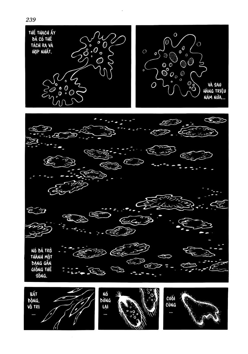 Chim Lửa Chapter 28 - Trang 2