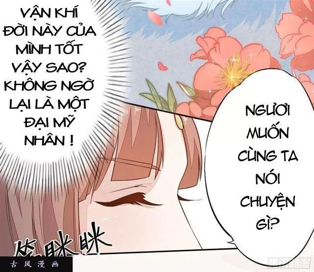 Tuyệt Thế Luyện Đan Sư Chapter 24 - Trang 2