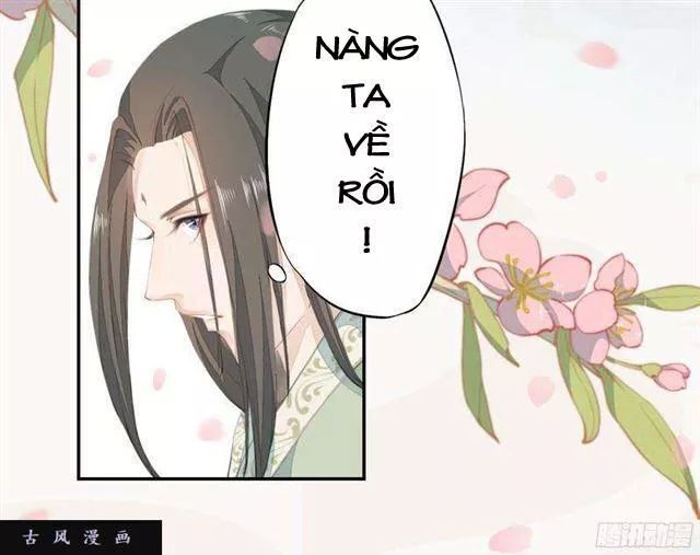 Tuyệt Thế Luyện Đan Sư Chapter 24 - Trang 2