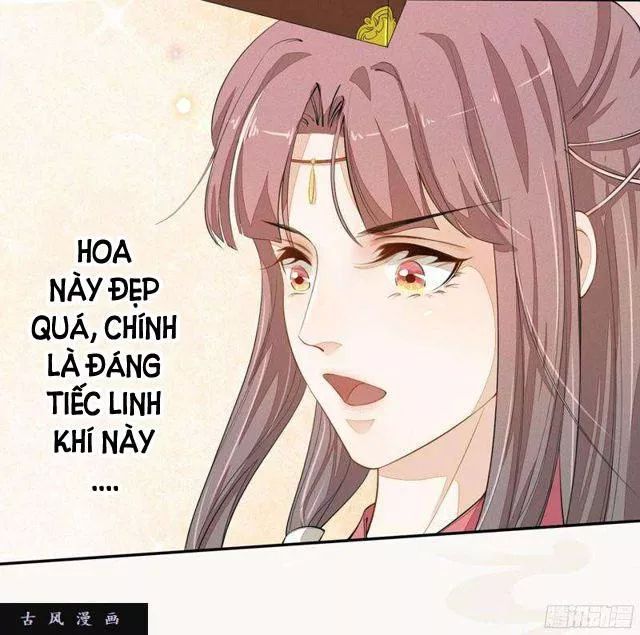 Tuyệt Thế Luyện Đan Sư Chapter 23 - Trang 2