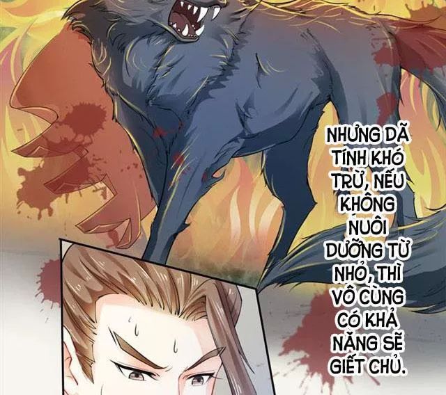 Tuyệt Thế Luyện Đan Sư Chapter 17 - Trang 2