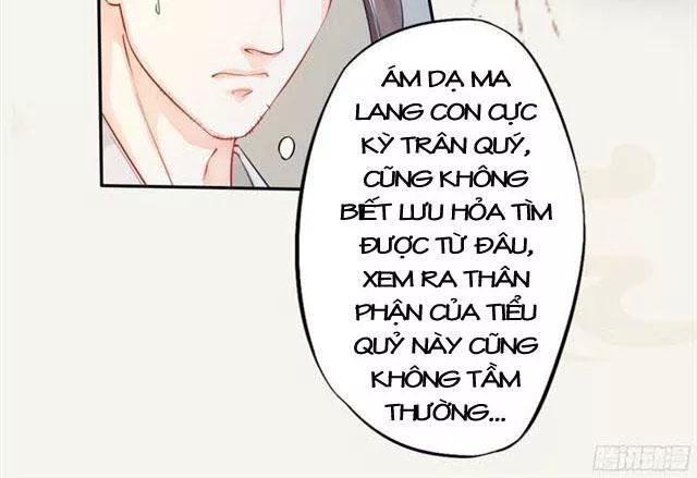 Tuyệt Thế Luyện Đan Sư Chapter 17 - Trang 2