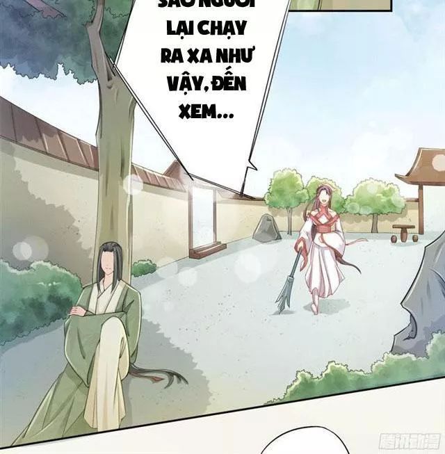 Tuyệt Thế Luyện Đan Sư Chapter 17 - Trang 2