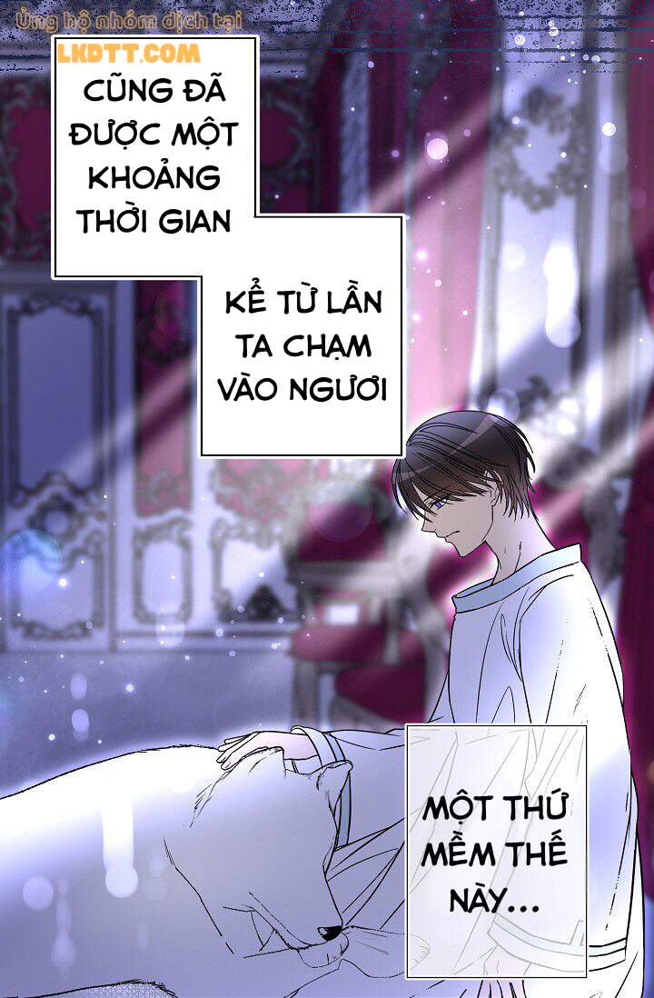 Mylord, Nữ Hoàng Của Loài Sói! Chapter 16 - Trang 2