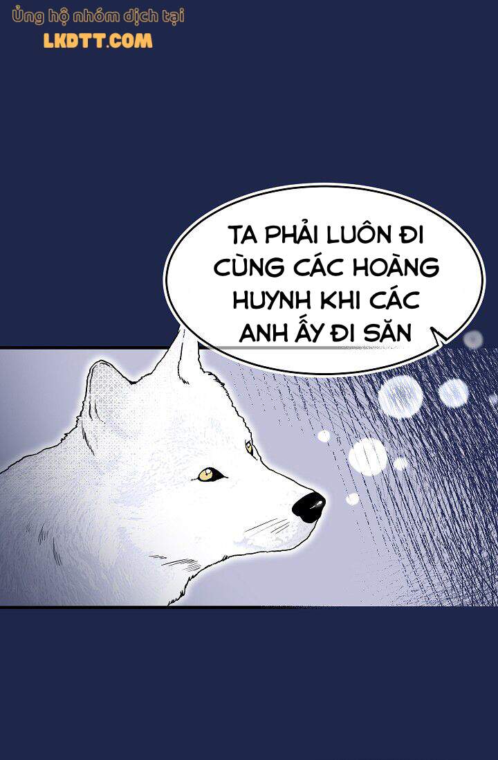 Mylord, Nữ Hoàng Của Loài Sói! Chapter 16 - Trang 2