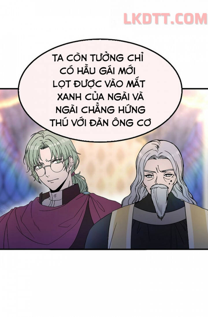 Mylord, Nữ Hoàng Của Loài Sói! Chapter 4 - Trang 2