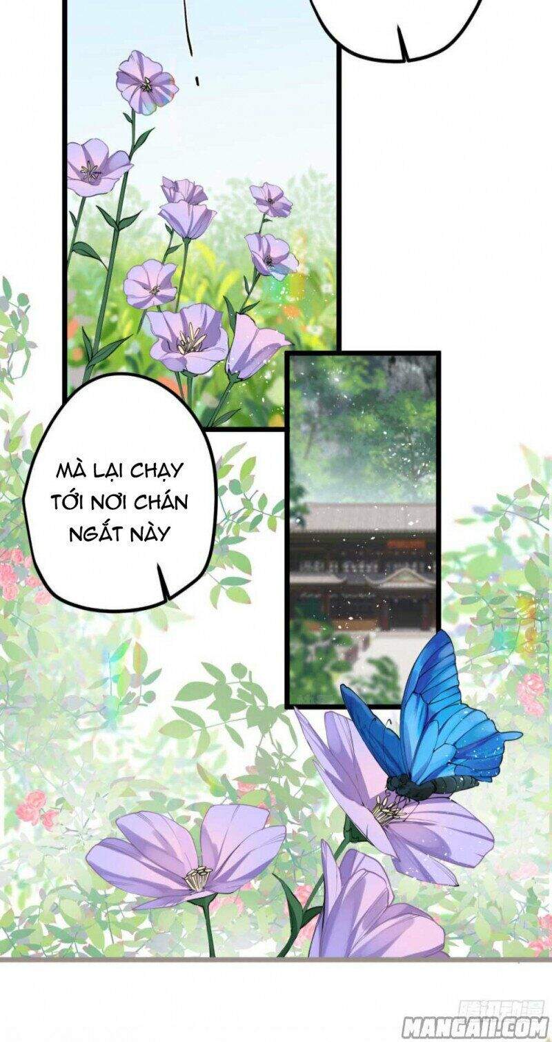 Công Chúa Pháo Hôi Muốn Tùy Tiện Đến Cùng Chapter 37 - Trang 2