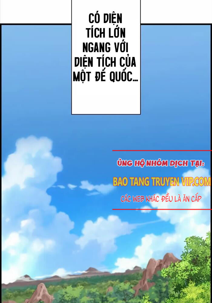 Đặc Tính Tiến Hóa Của Chiêu Hồn Sư Chapter 74 - Trang 2