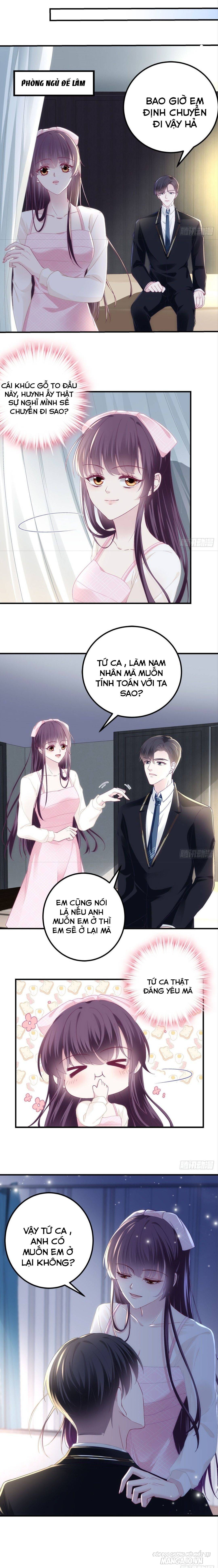 Trọng Sinh Về Chinh Phục Tổng Tài Chapter 42 - Trang 2