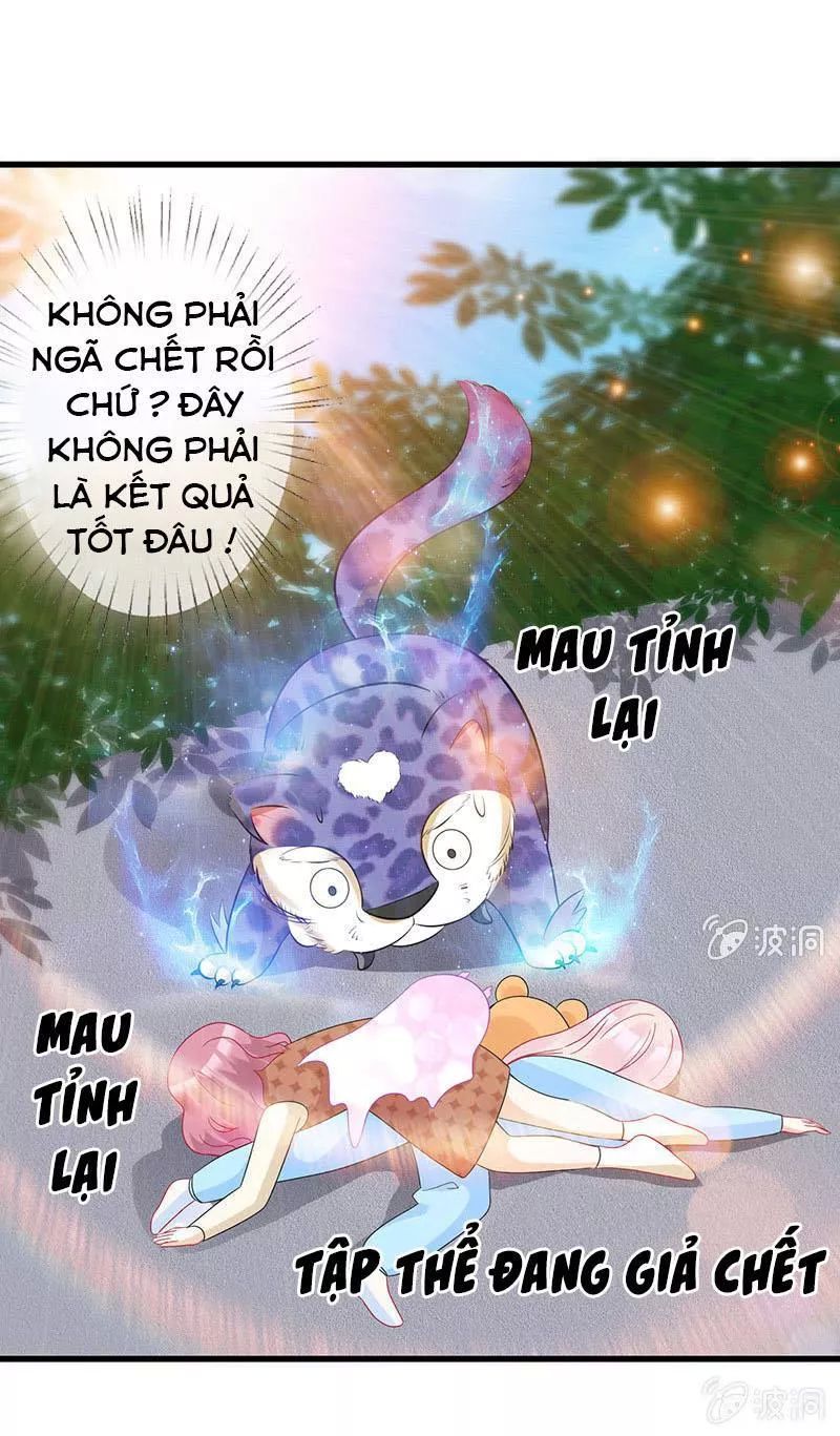 Vương Bài Thiên Sư Và Tiểu Manh Yêu Chapter 19 - Trang 2