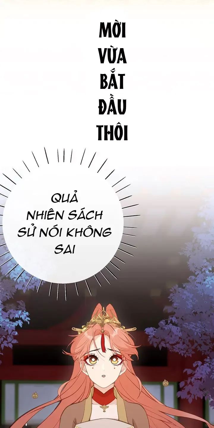 Nghe Nói Thái Hậu Với Thái Hậu Là Thật Sao?! Chapter 23 - Trang 2