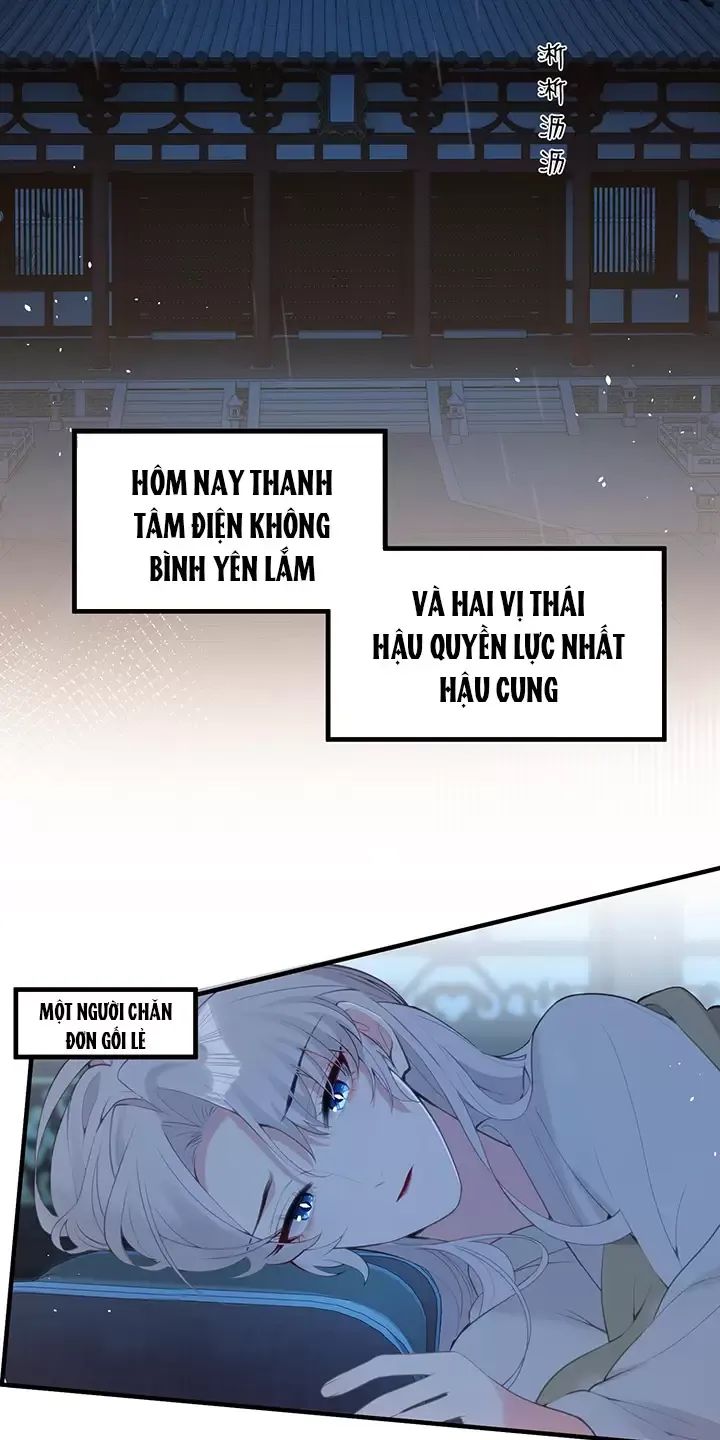 Nghe Nói Thái Hậu Với Thái Hậu Là Thật Sao?! Chapter 16 - Trang 2