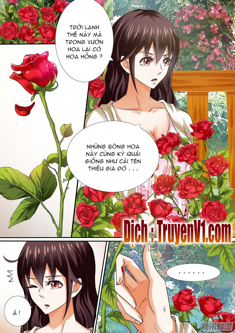 Hào Môn Tiểu Lão Bà Chapter 11 - Trang 2