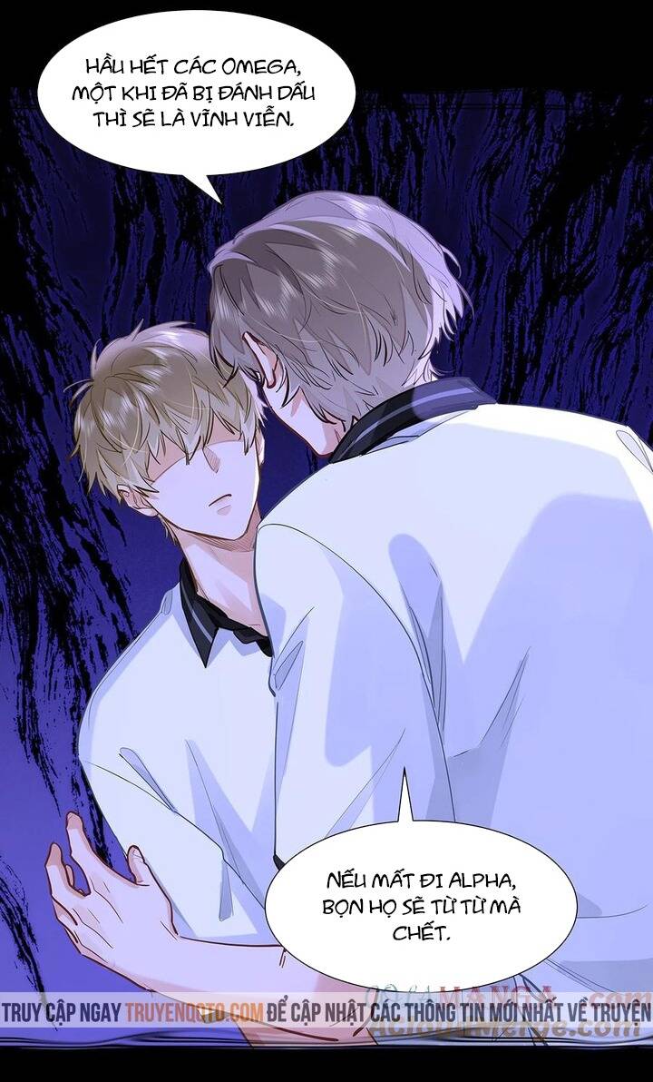 Tôi Thích Pheromone Của Cậu Chapter 49 - Trang 2