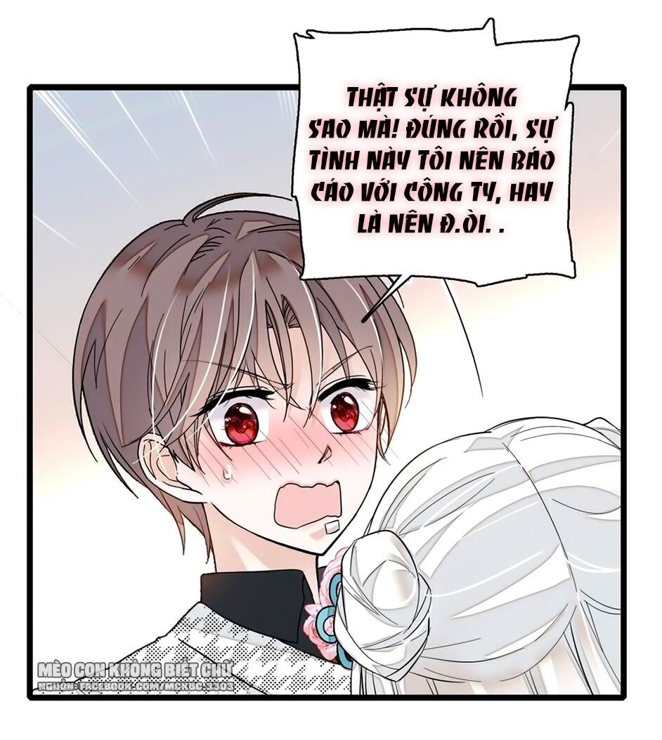 Long Phượng Phiên Chuyển Chapter 24 - Trang 2