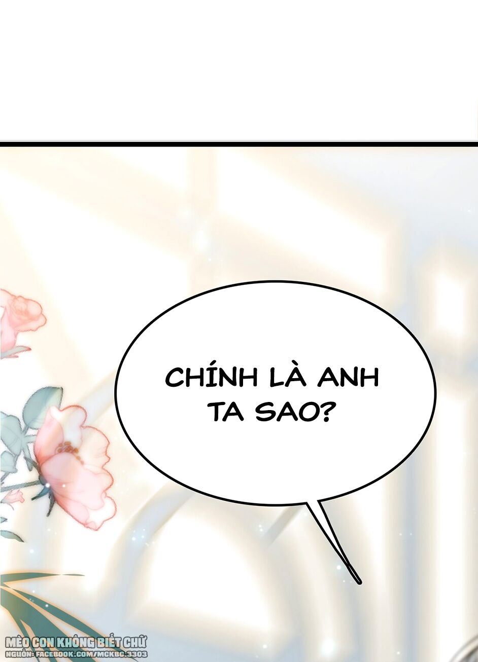 Long Phượng Phiên Chuyển Chapter 1 - Trang 2