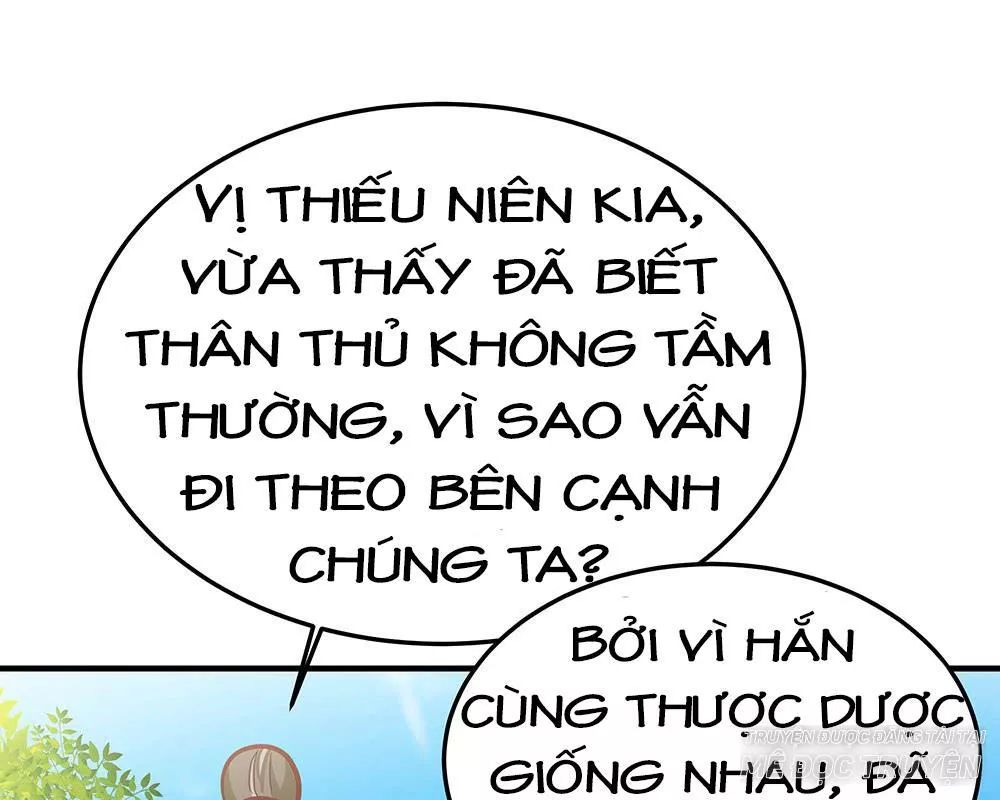 Thái Tử Phi Nhà Ta Thật Hung Hăng Chapter 19 - Trang 2