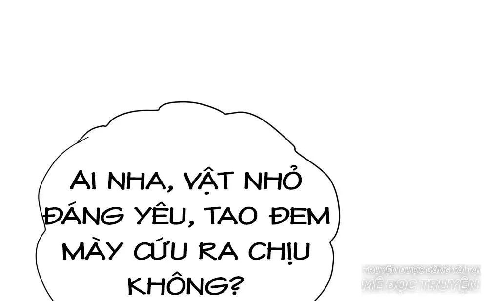 Thái Tử Phi Nhà Ta Thật Hung Hăng Chapter 16 - Trang 2