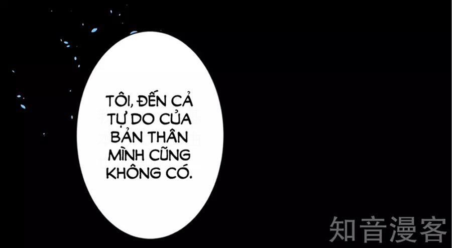 Tôi Bị Tổng Tài Ám Hại Chapter 145 - Trang 2