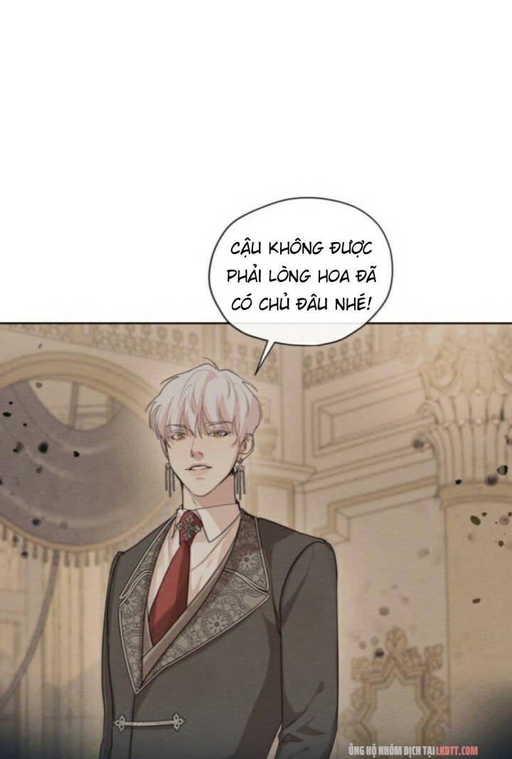 Tôi Là Tình Cũ Của Nam Chính Chapter 37 - Trang 2