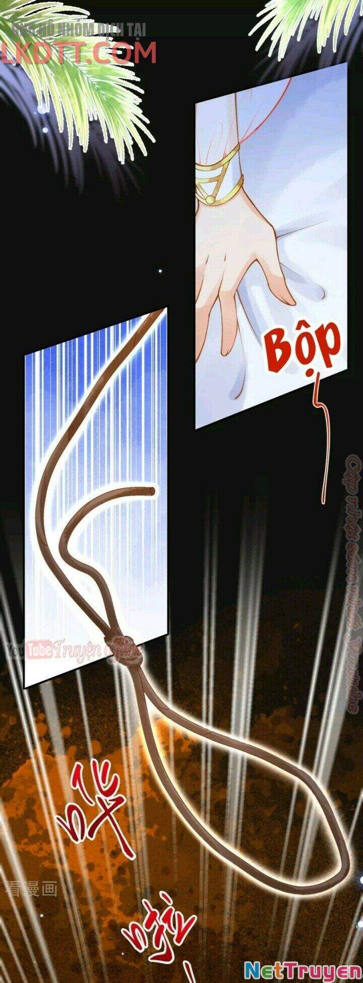 Xuyên Đến Ai Cập : Trở Thành Cô Dâu Của Vương Chapter 30 - Trang 2