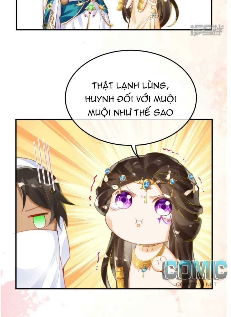 Xuyên Đến Ai Cập : Trở Thành Cô Dâu Của Vương Chapter 26 - Trang 2