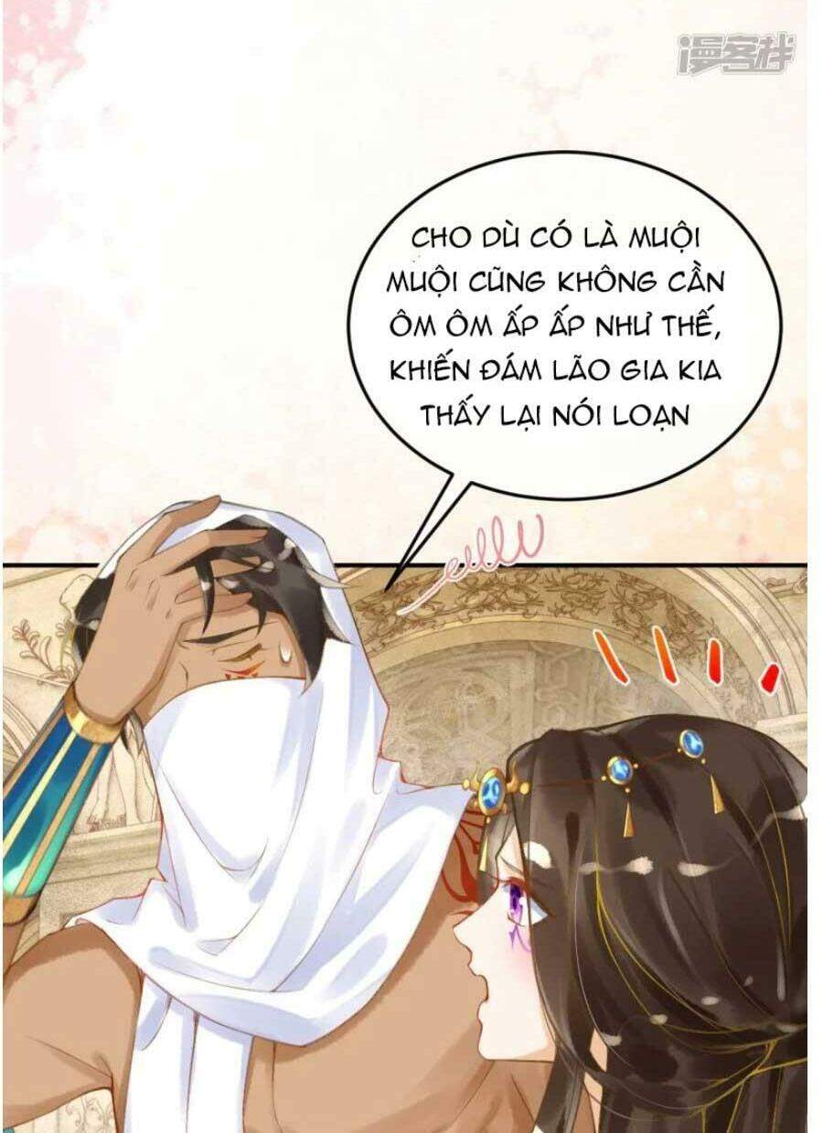 Xuyên Đến Ai Cập : Trở Thành Cô Dâu Của Vương Chapter 26 - Trang 2