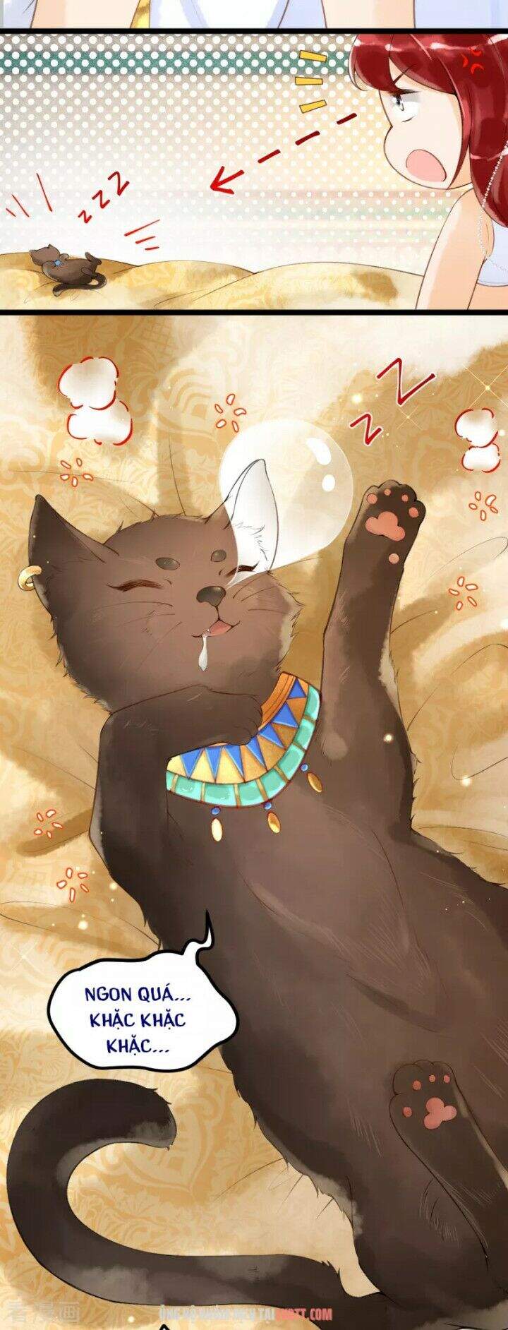 Xuyên Đến Ai Cập : Trở Thành Cô Dâu Của Vương Chapter 5 - Trang 2