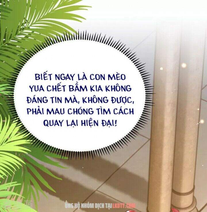 Xuyên Đến Ai Cập : Trở Thành Cô Dâu Của Vương Chapter 5 - Trang 2