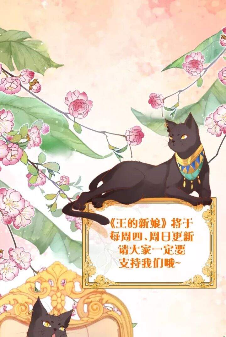 Xuyên Đến Ai Cập : Trở Thành Cô Dâu Của Vương Chapter 5 - Trang 2