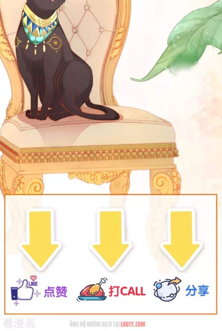 Xuyên Đến Ai Cập : Trở Thành Cô Dâu Của Vương Chapter 5 - Trang 2