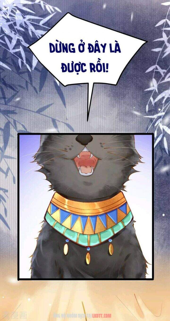 Xuyên Đến Ai Cập : Trở Thành Cô Dâu Của Vương Chapter 3 - Trang 2