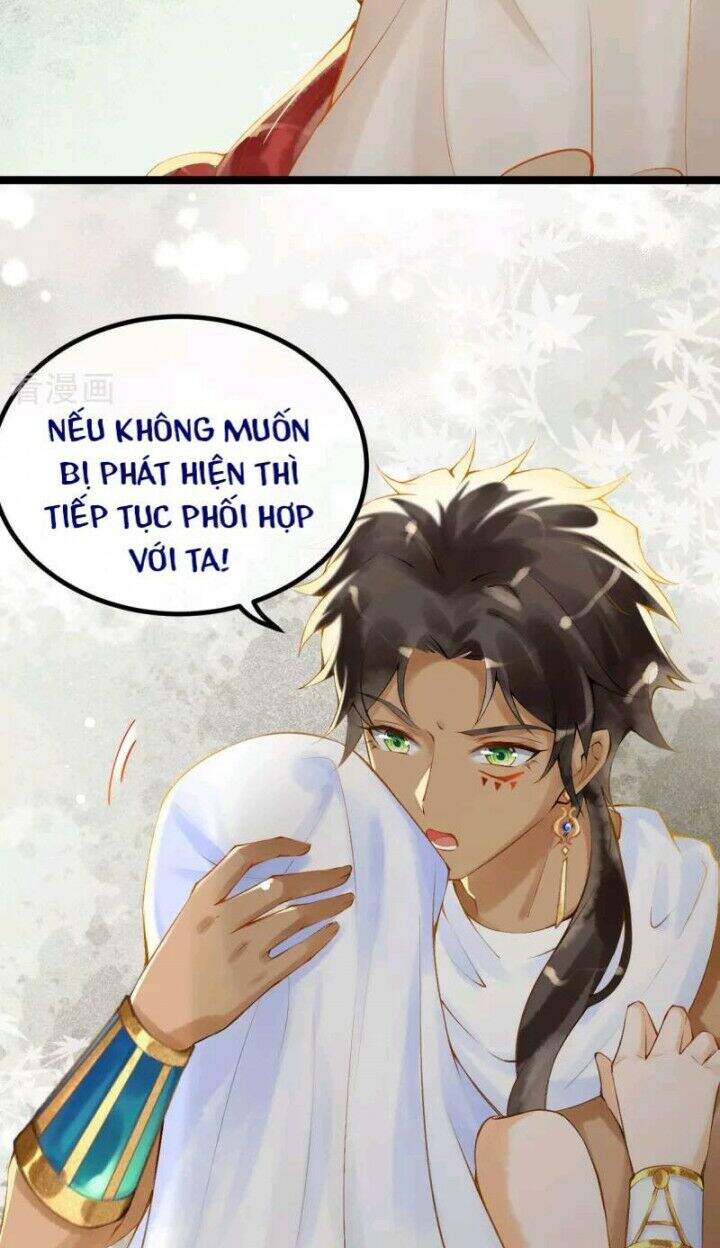 Xuyên Đến Ai Cập : Trở Thành Cô Dâu Của Vương Chapter 2 - Trang 2