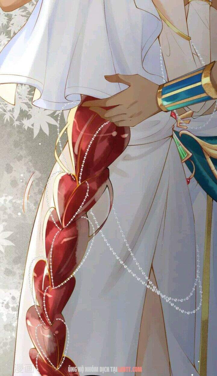 Xuyên Đến Ai Cập : Trở Thành Cô Dâu Của Vương Chapter 2 - Trang 2