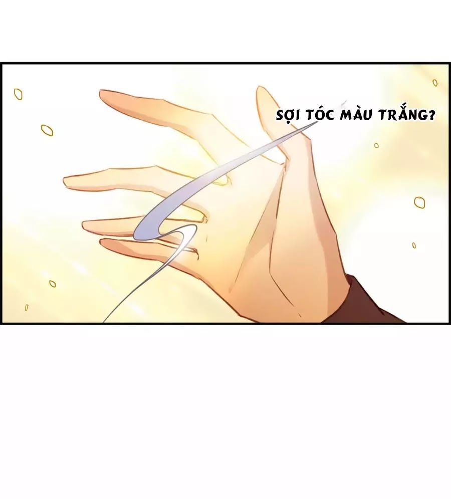 Cuốn Sách Vận Mệnh Của Tôi Chapter 56 - Trang 2