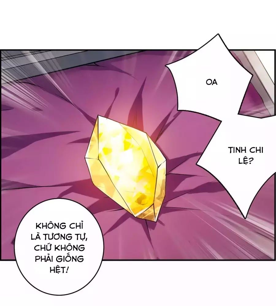 Cuốn Sách Vận Mệnh Của Tôi Chapter 55 - Trang 2