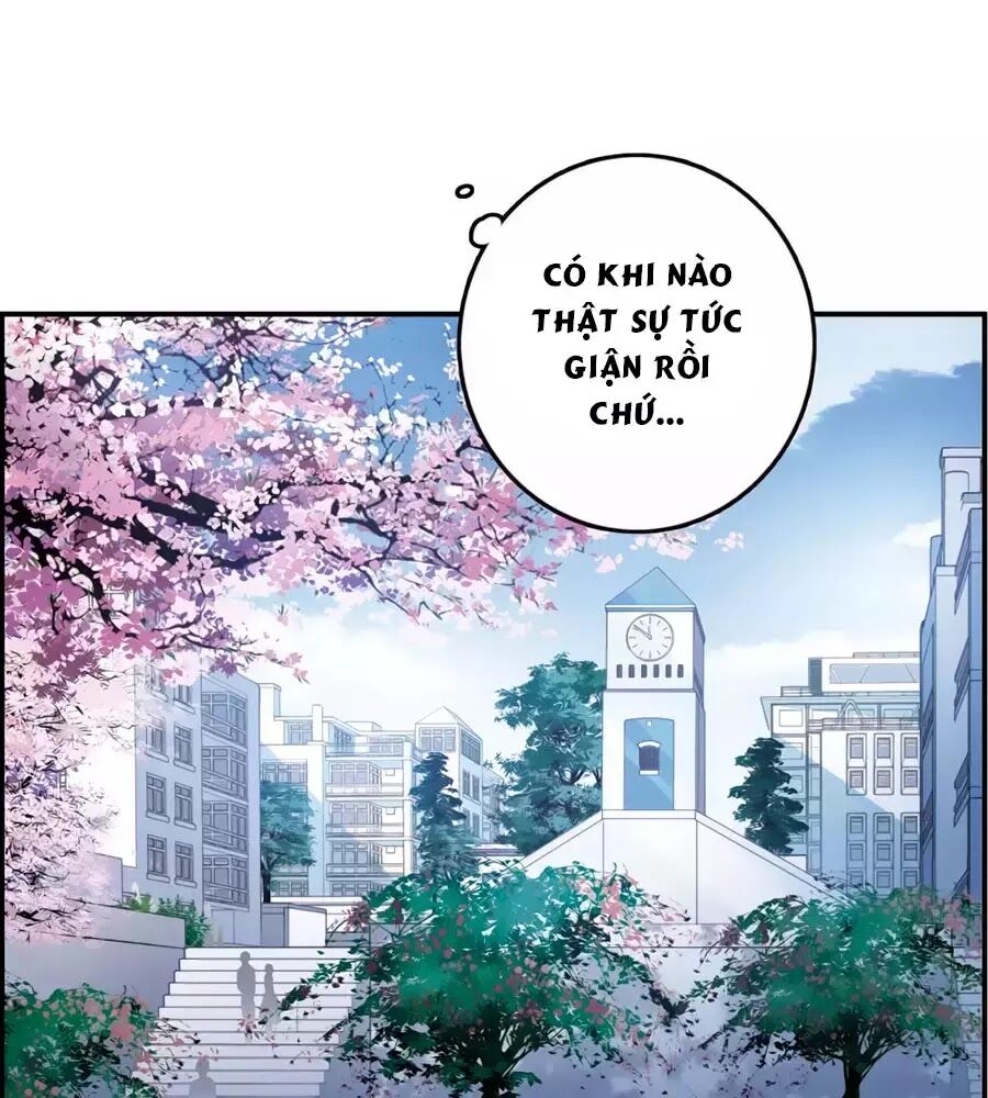 Cuốn Sách Vận Mệnh Của Tôi Chapter 50 - Trang 2