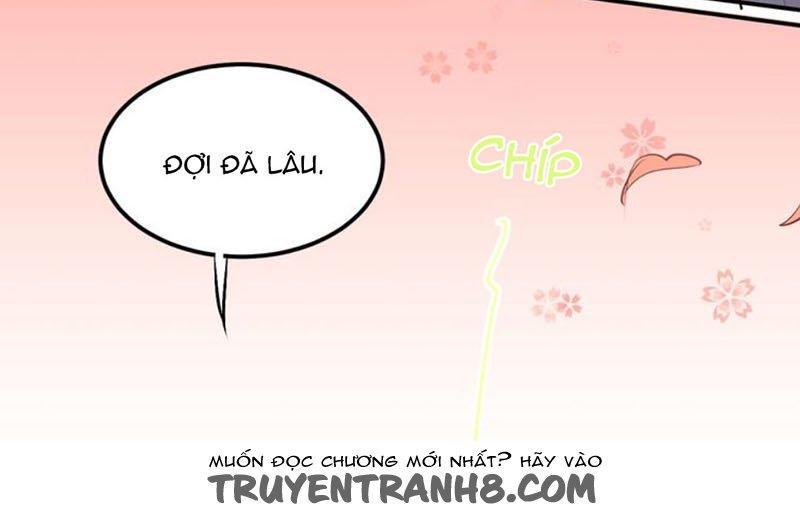 Đầu Gấu Biết Yêu Chapter 31 - Trang 2