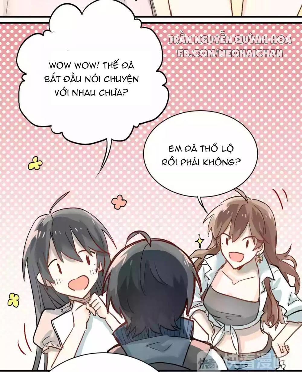 Đầu Gấu Biết Yêu Chapter 3 - Trang 2