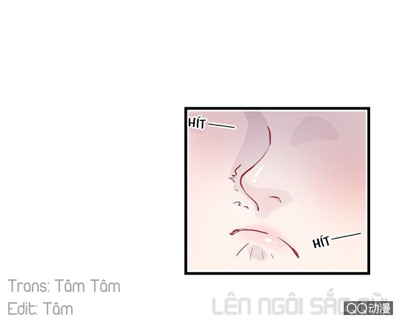 Boss Lãnh Khốc Buông Em Ra Chapter 2 - Trang 2